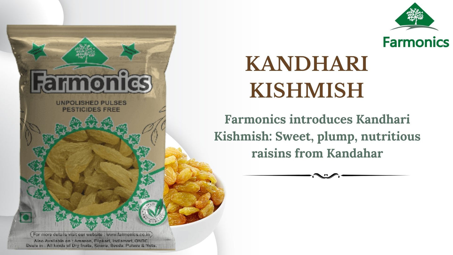  Get the best quality  from Farmonics  kandhari kishmish 
