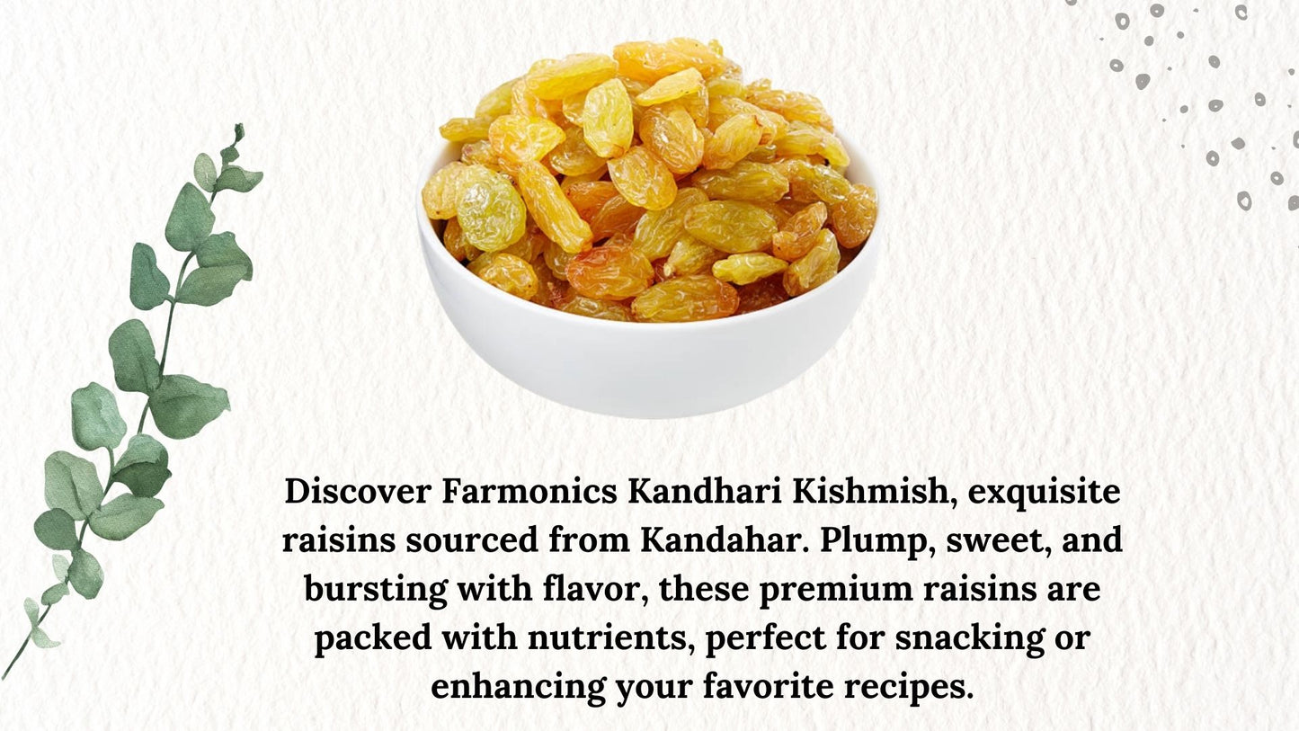 Here are some of the information about farmonics premioum quality  kandhari kishmish 