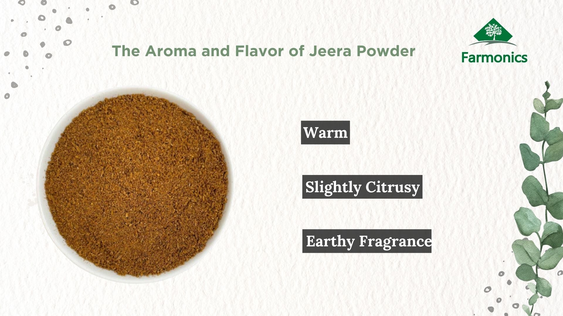 let's know the aroma and flavor of jeera powder 