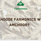 Reasons why you choose Farmonics whole amchoor 