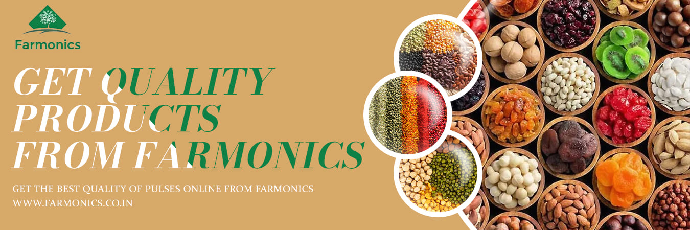 best quality seeds