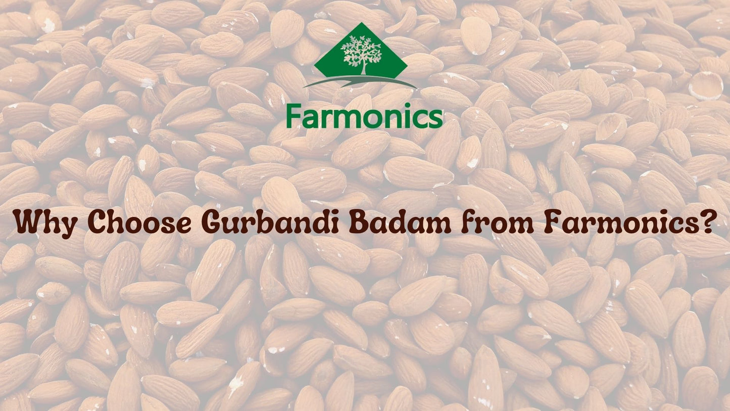 Gurbandi Almond price