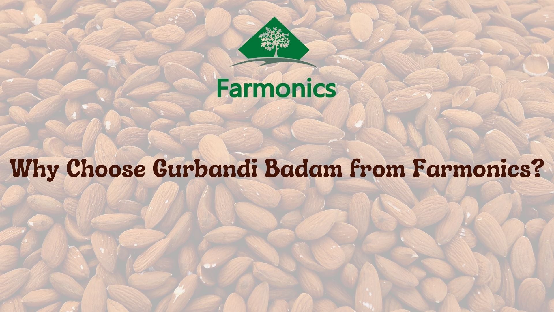 Gurbandi Almond price