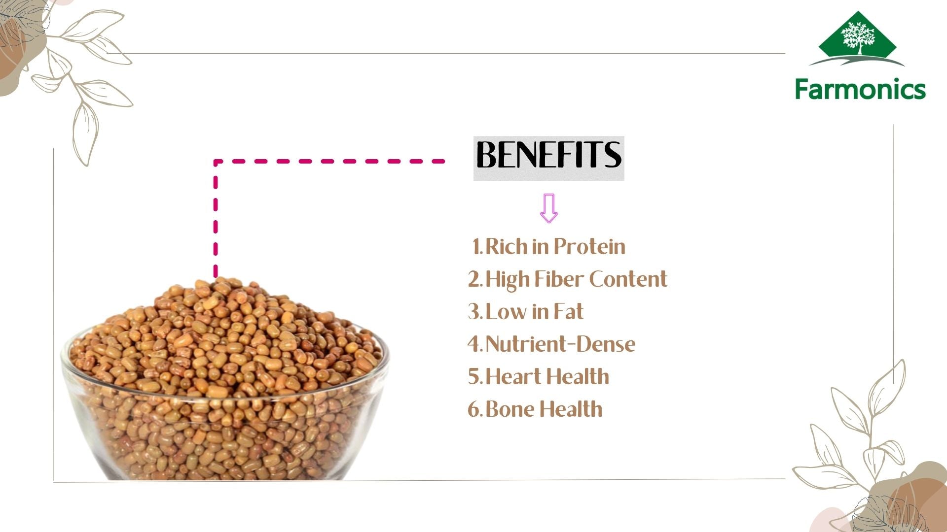 Moth Beans Dal