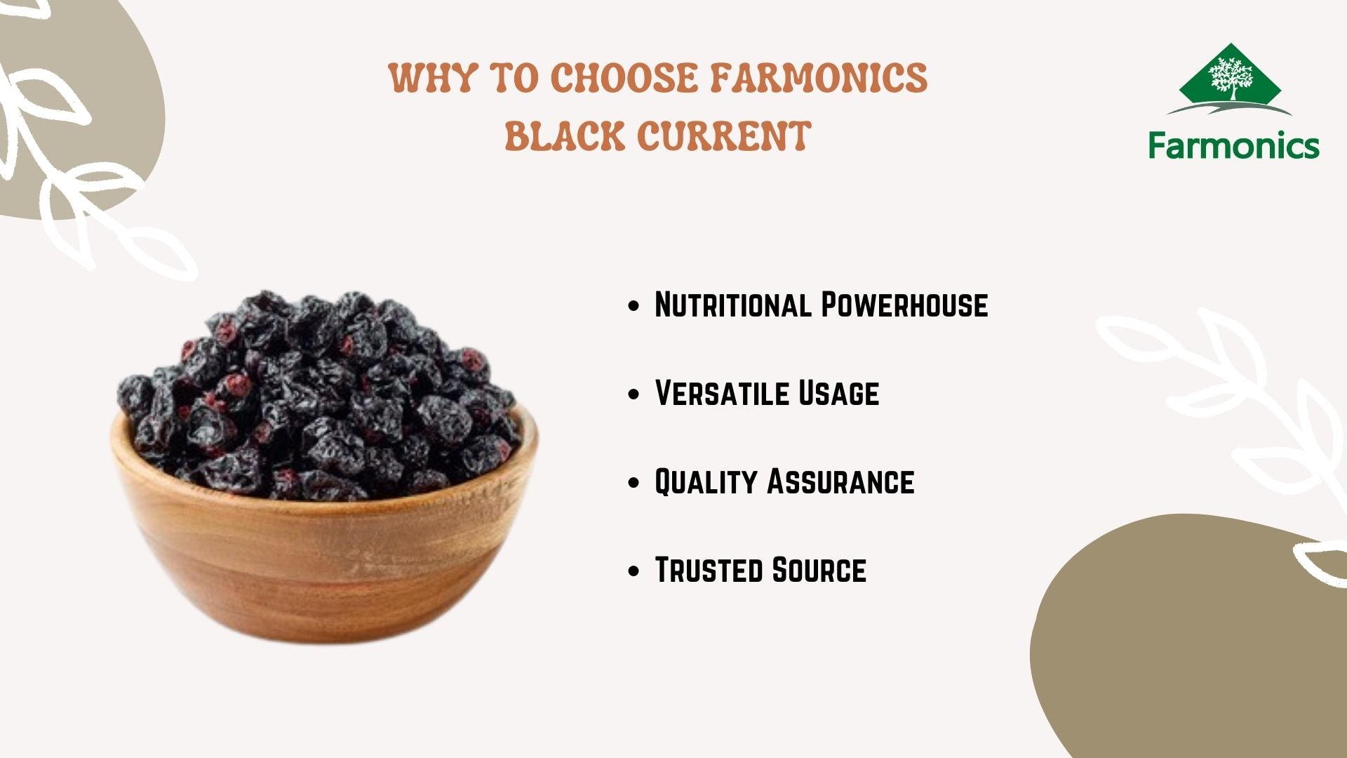 Premium Quality black currant