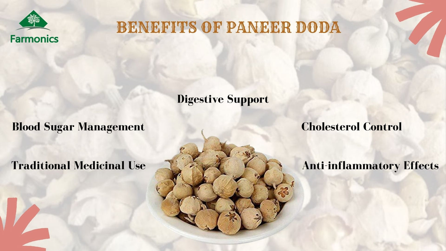 paneer doda benefits