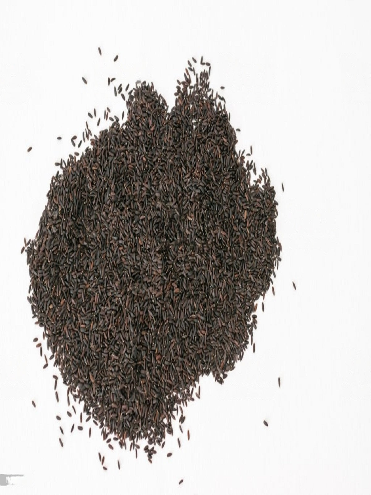sabja seed