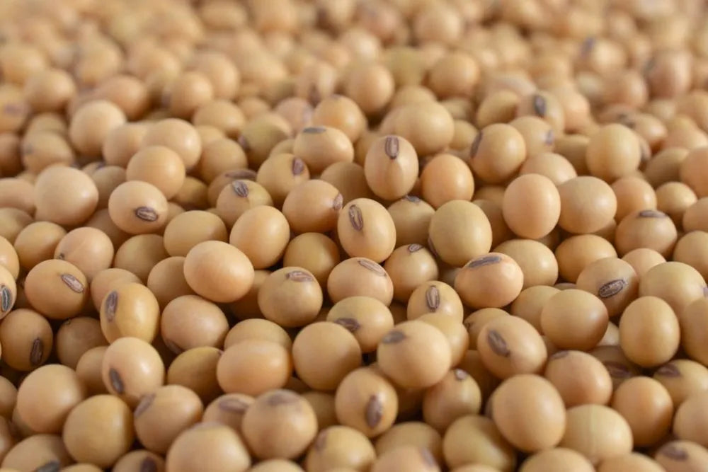soyabean dal - Farmonics