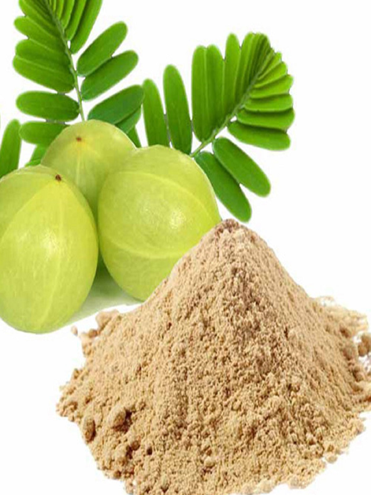 best quality amla powder from farmonics