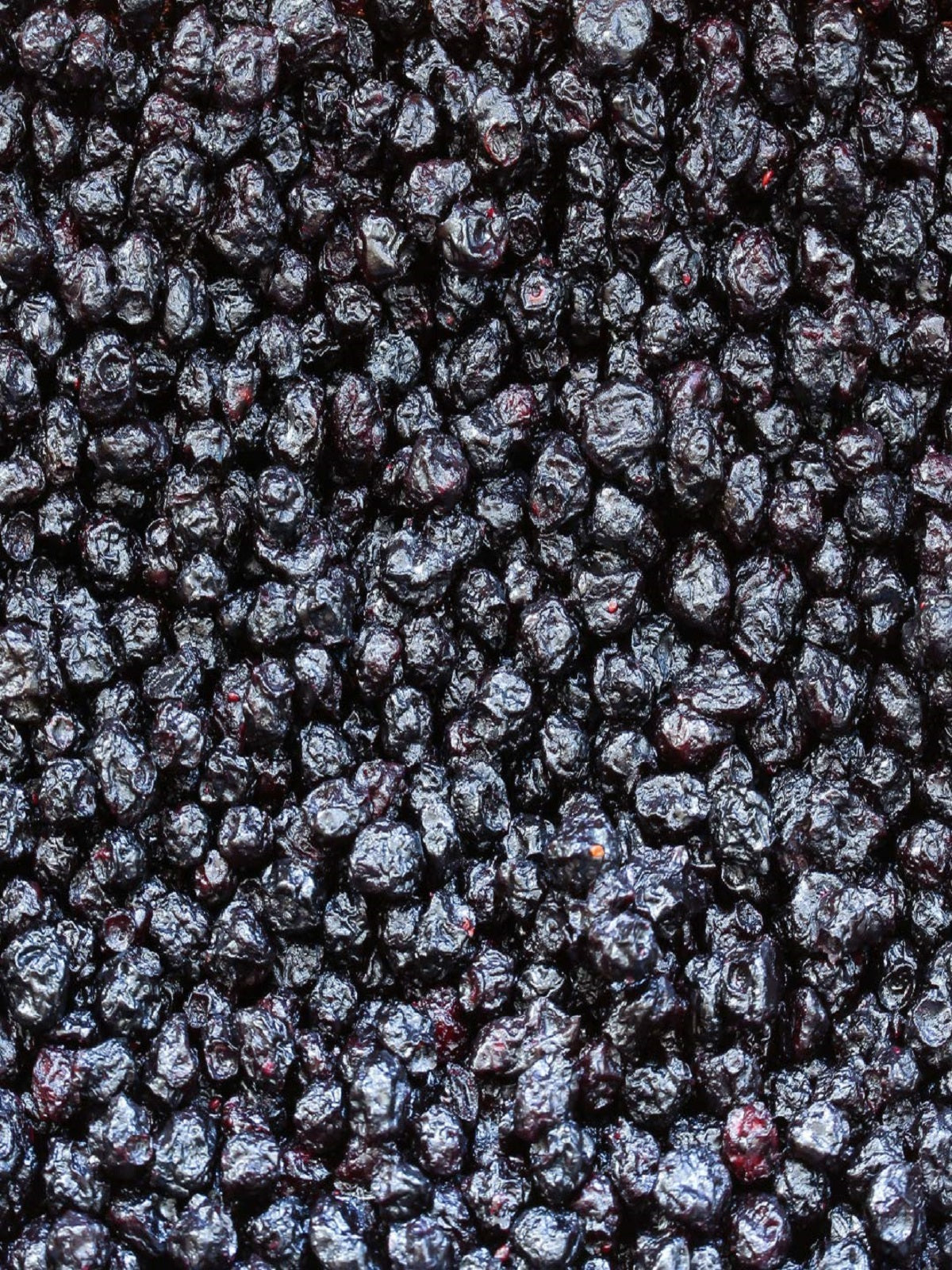 Best Quality Blueberry