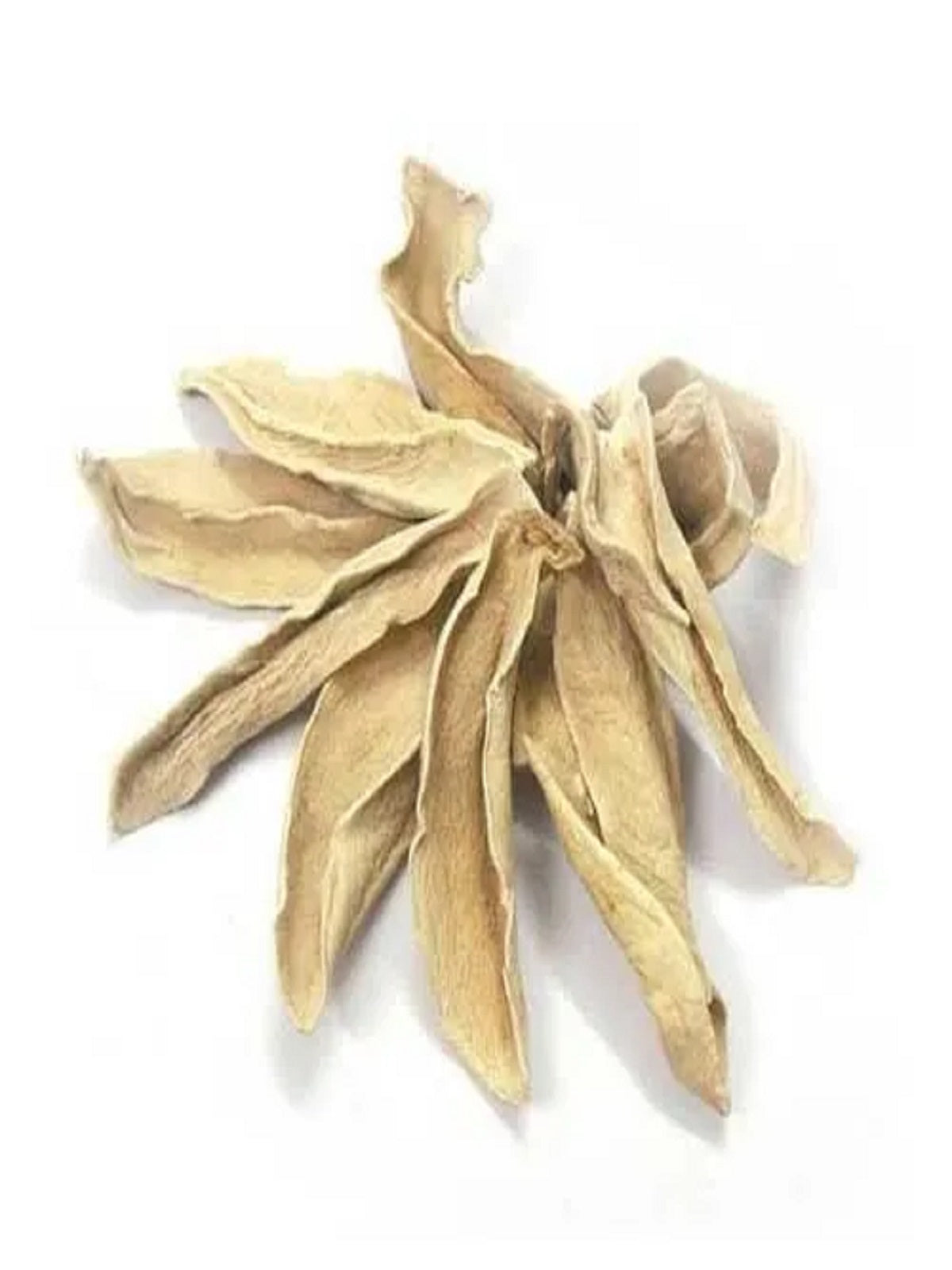 Buy the best quality Amchoor Sabut / dry mango whole online at Farmonics