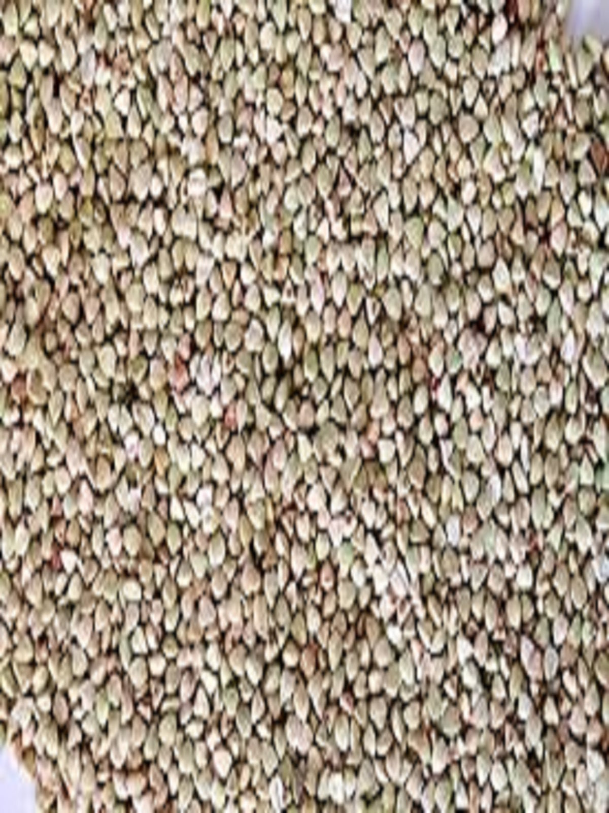 kuttu giri best quality from farmonics