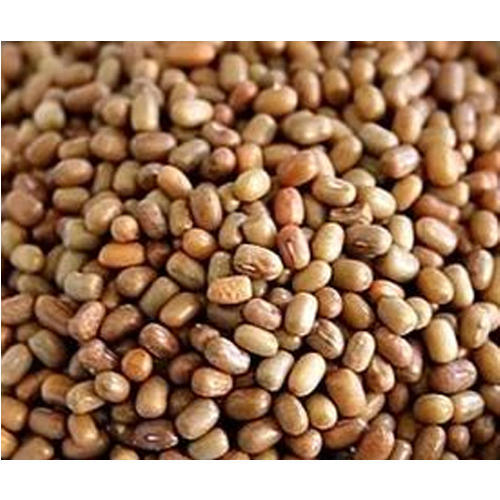 Matki dal