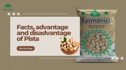 Pistachio: Facts, Benefits and Disadvantages