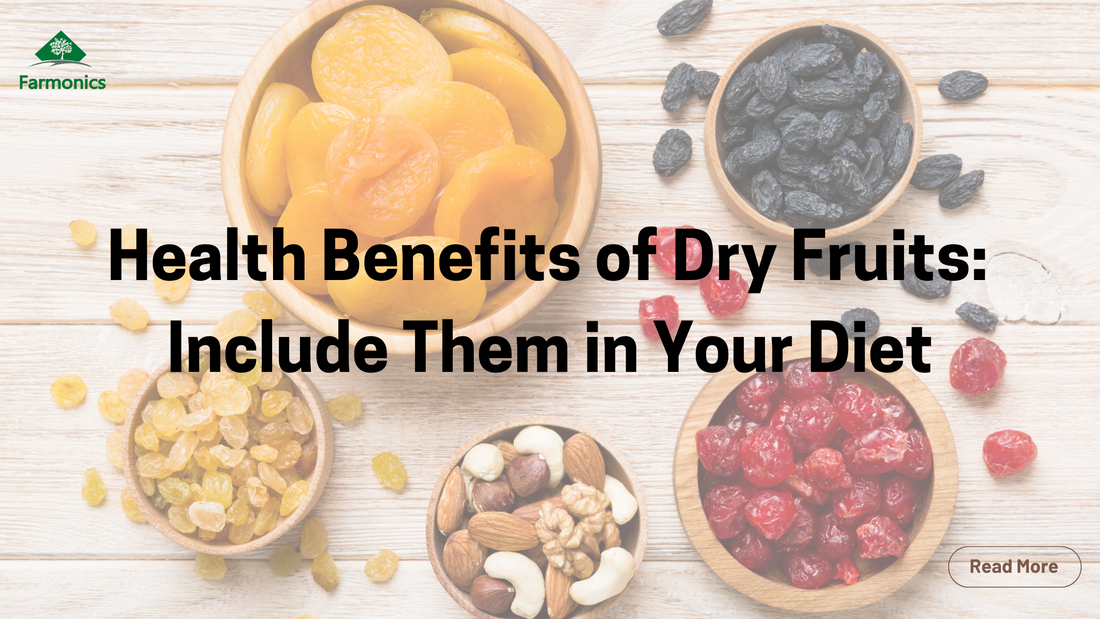 dry fruits benefits