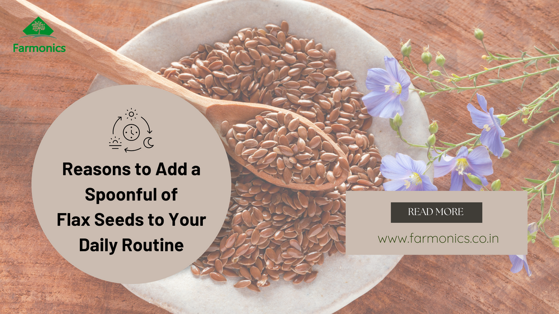 Spoon of flax seeds