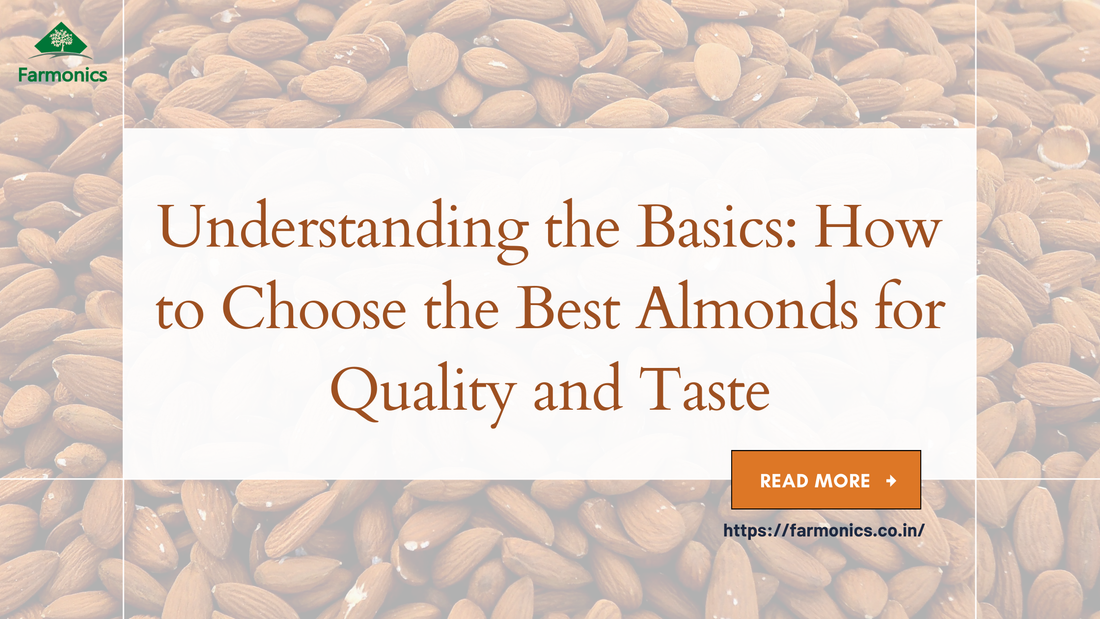 Badam/ Almonds