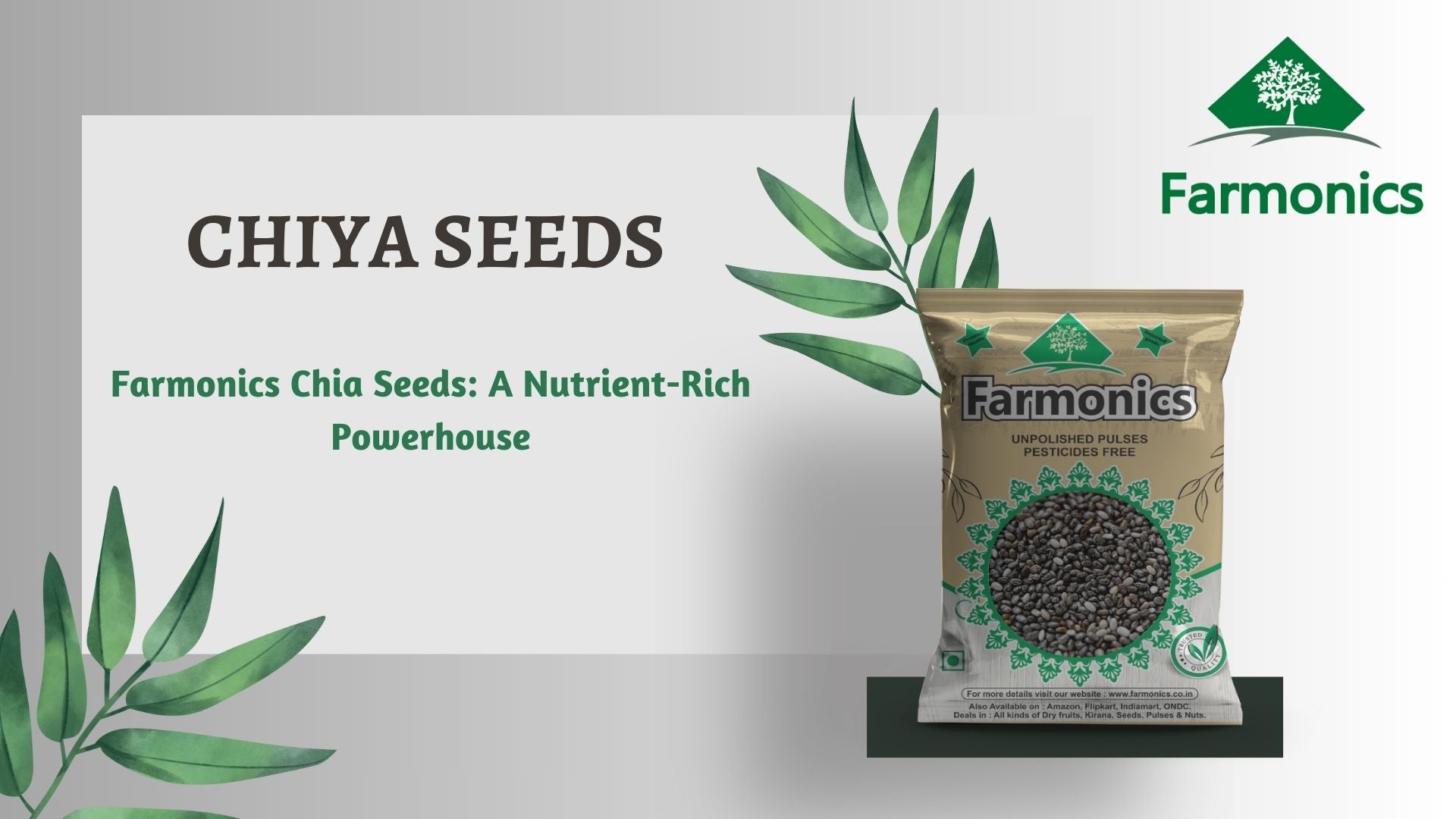 premium quality of chiaa seeds from farmonics 