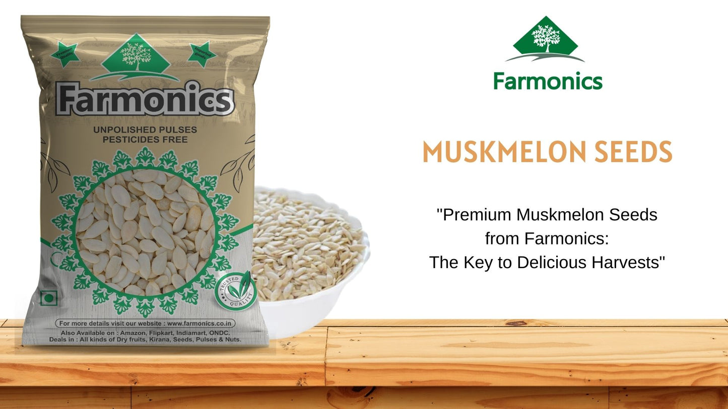 premium quality muskelon seeds from Farmonics