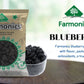 get the best quality blueberry from Farmonics