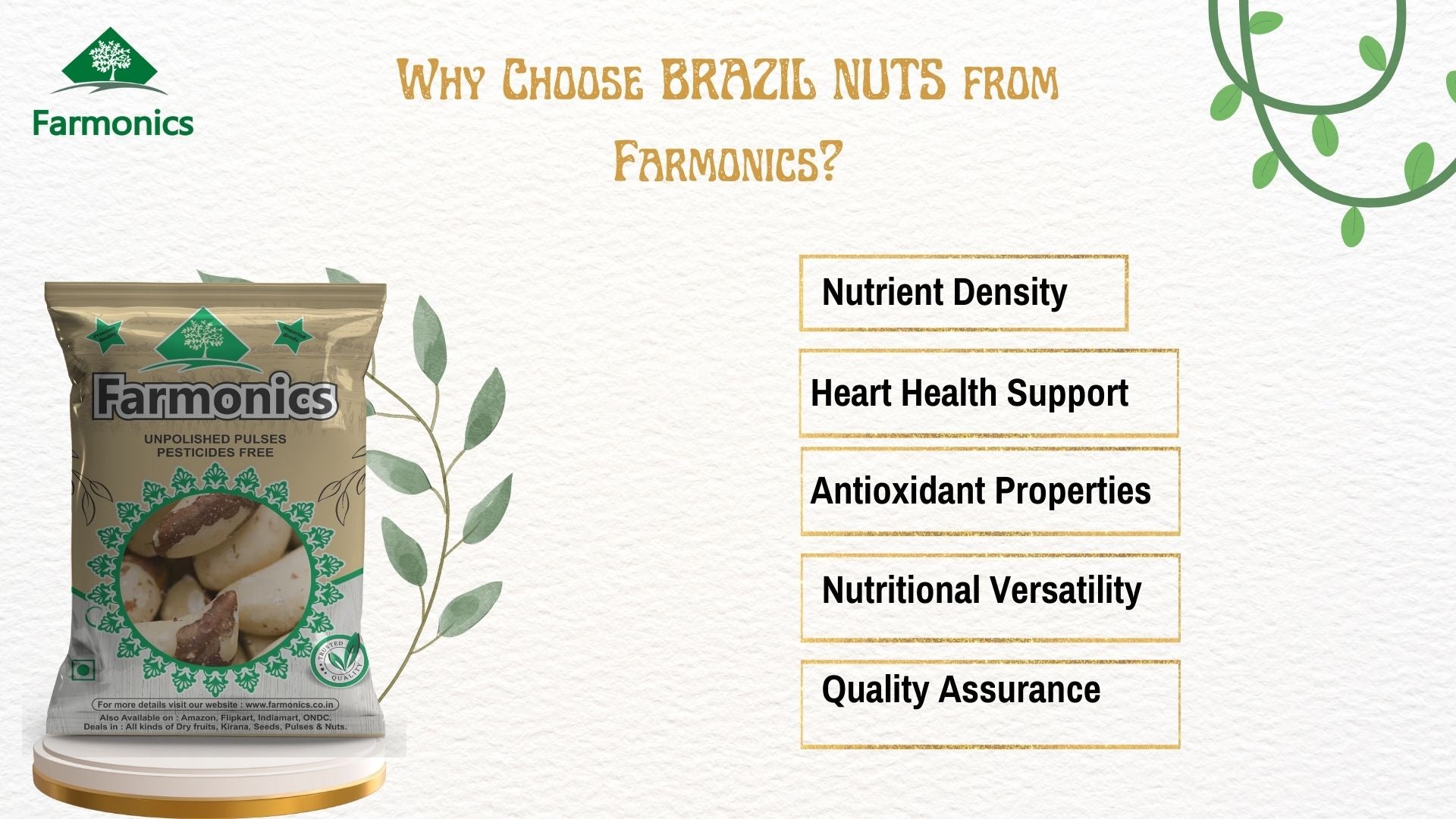 here are few reasons why you should choose Farmonics premium quality brazil nuts 