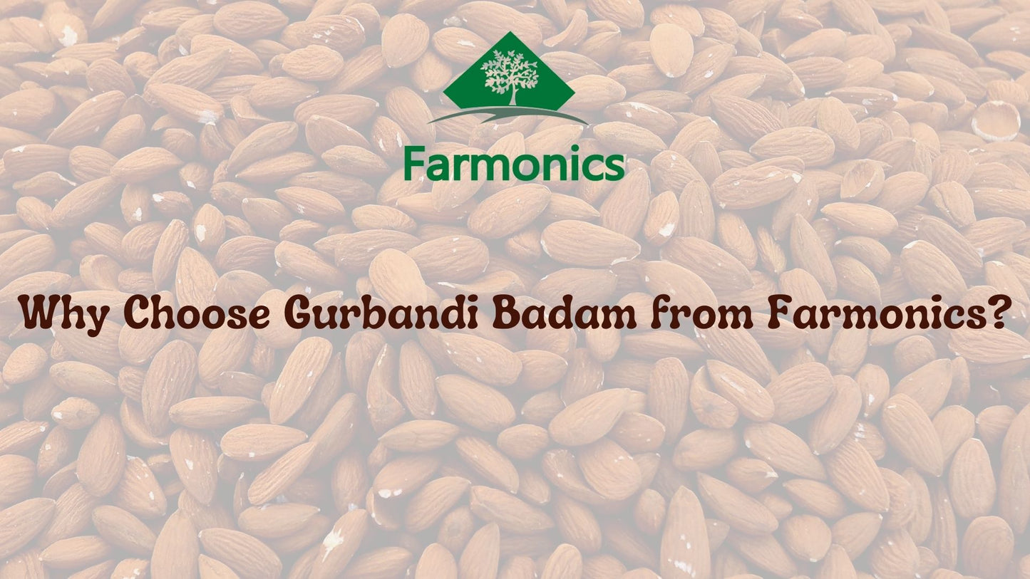 Some of the reasons why you should choose farmonics best quality  Gurbandi Badam /Almond