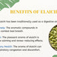 here are the list of benefits of elaichi from farmonics