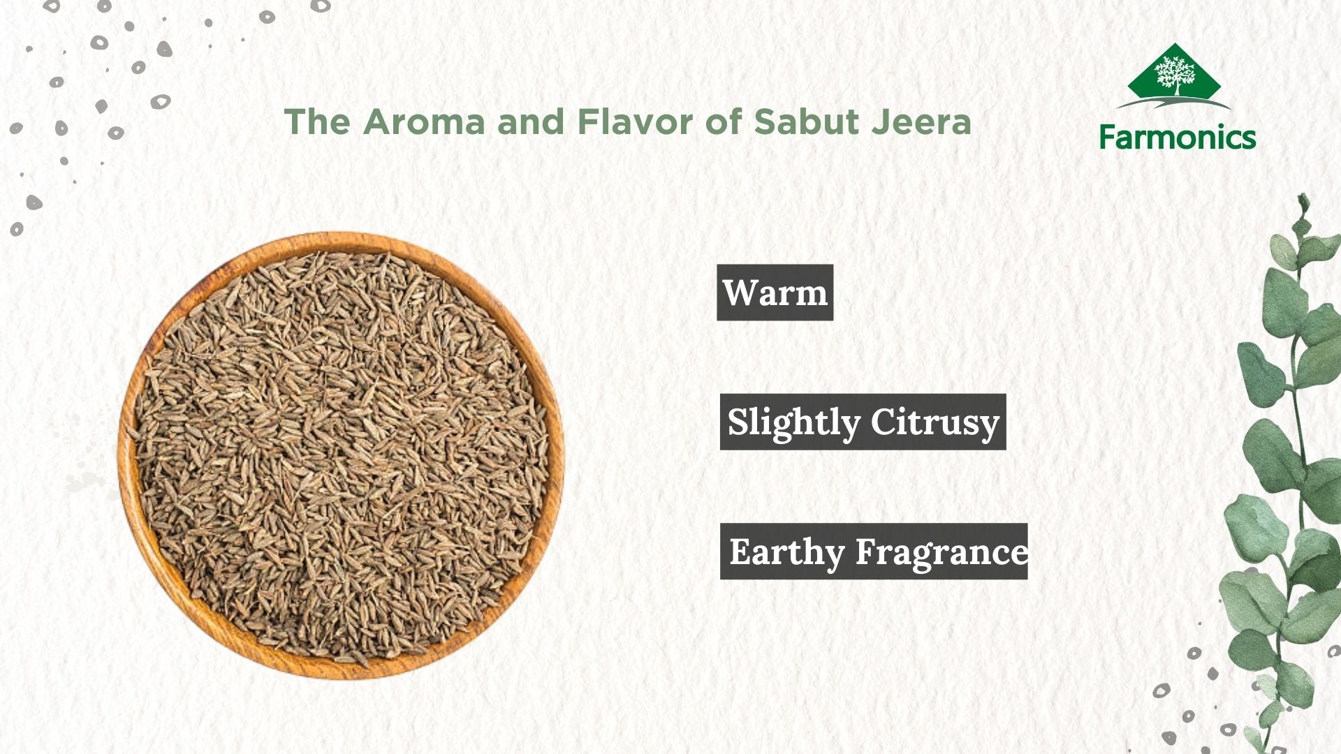 you will get the best aroma annd flavor from farmonics jeera/cumin