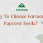 why you should choose farmonics popcorn seeds 