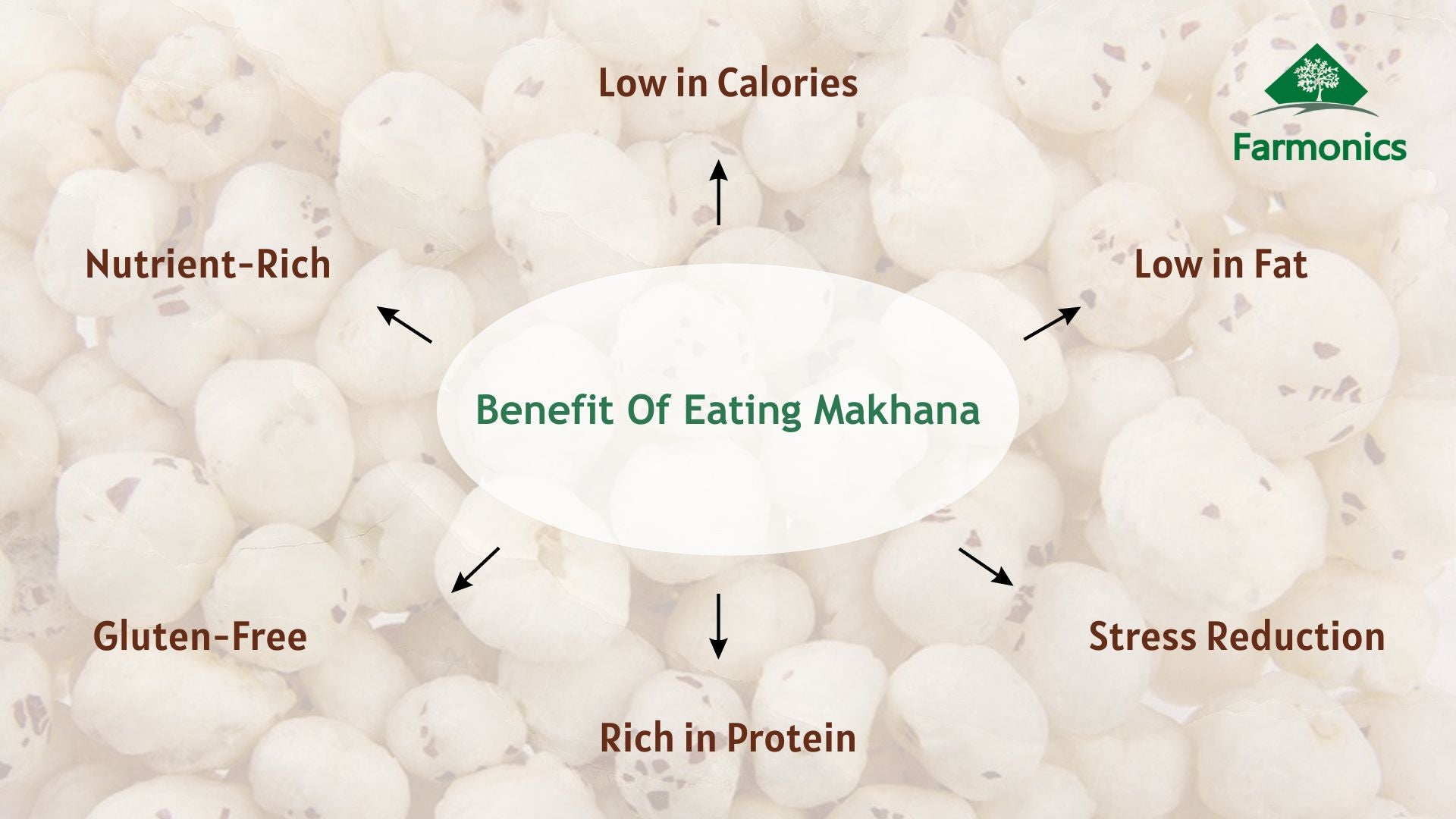 here are some of the benefits of Farmonics best quality makhana 