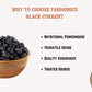 Reasons why you should choose Farmonics Premium Quality black currant 