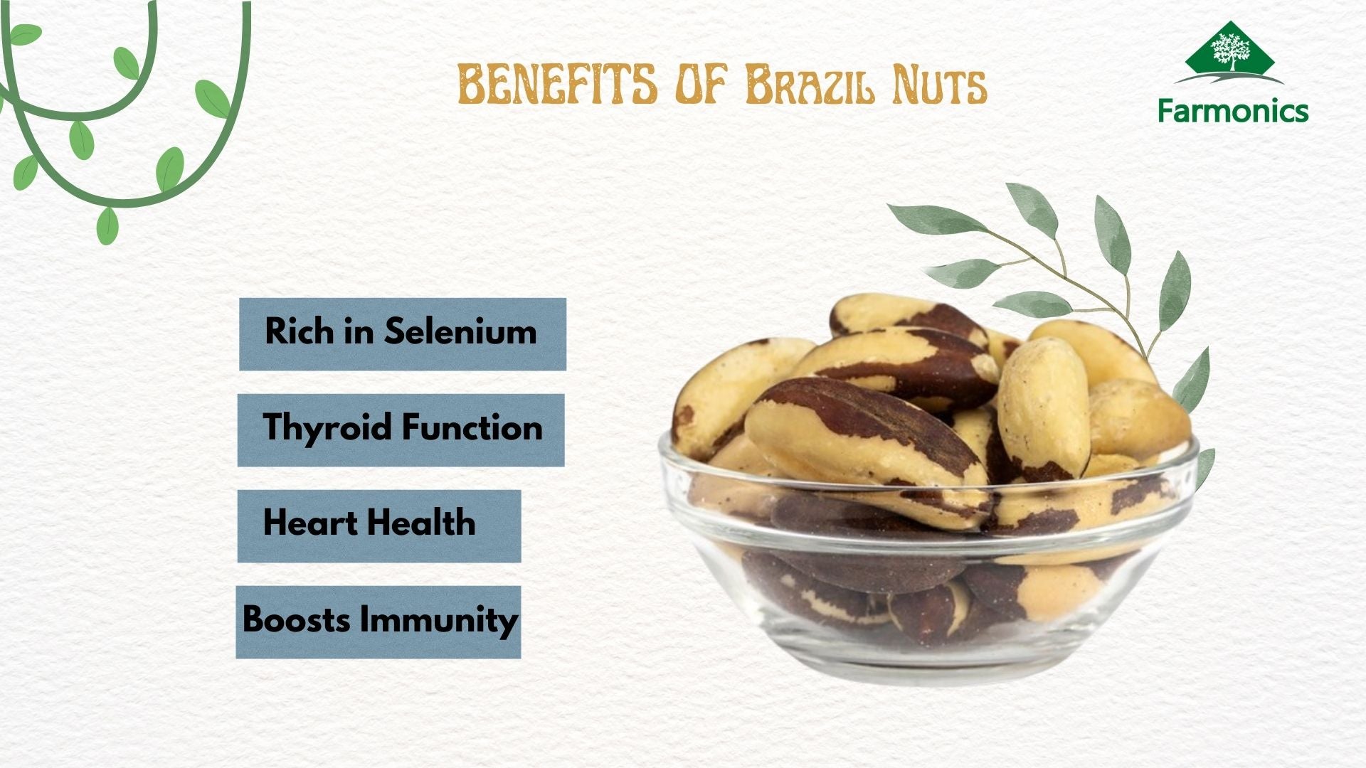 Benefits you will get from Farmonics premium quality brazil nuts 