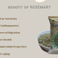 Benefist you will get from Farmonics best quality rosemary 