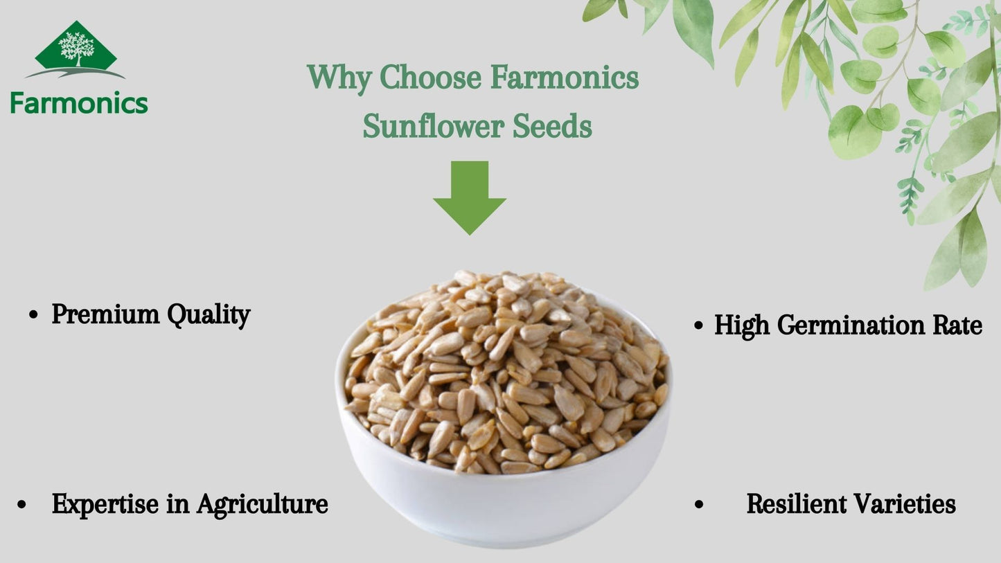 list of resaons why you should enjoy farmonics best quality sunflower seeds