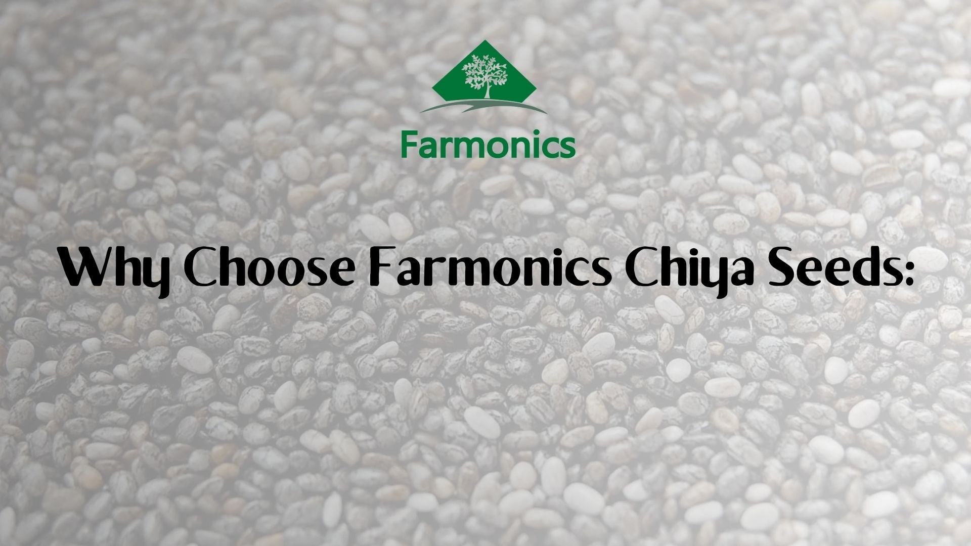 why you should farmonics best quality chiya seeds 