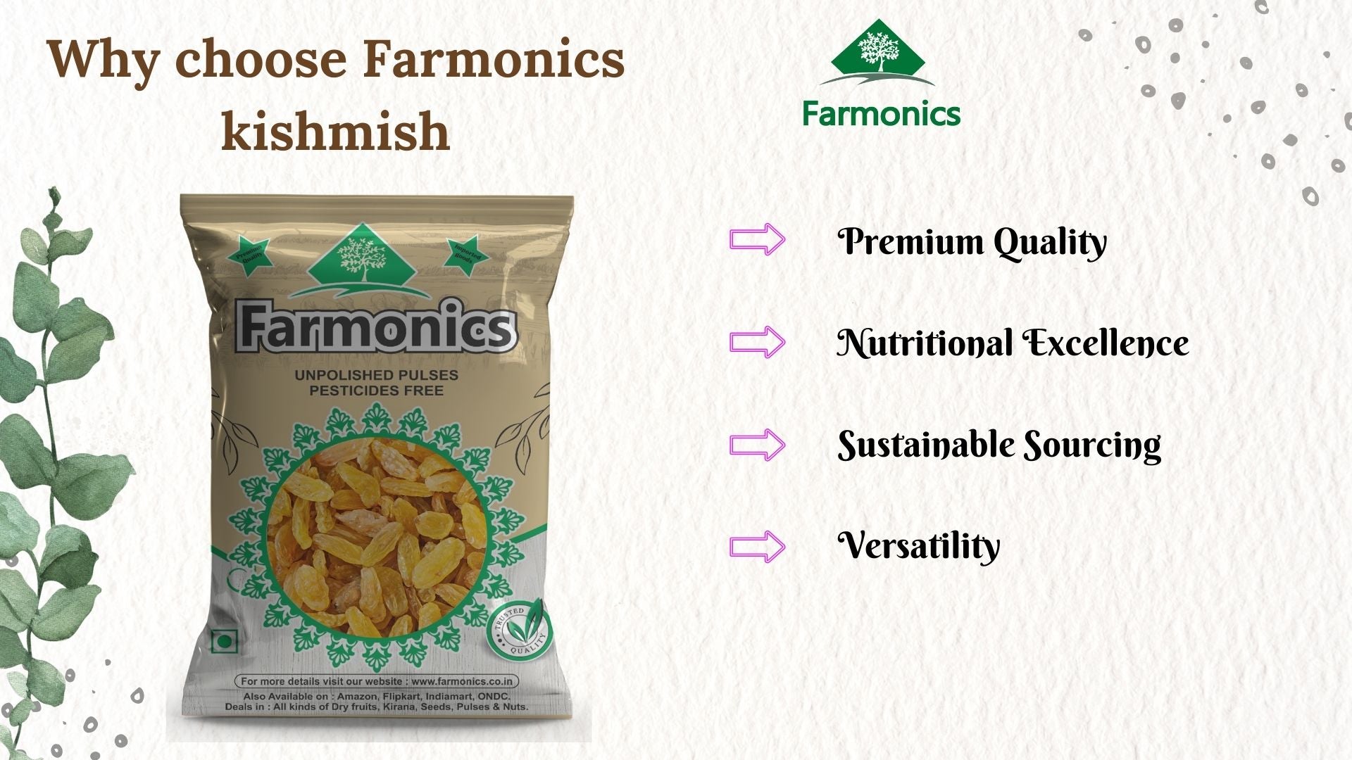   Some of the reasons why you should choose farmonics best quality   kishmish /Raisins