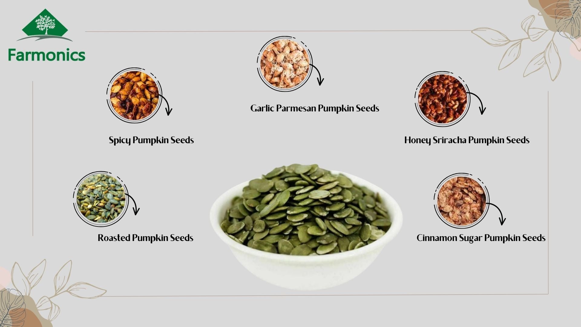 ways in which you can enjoy farmonics best quality pumpkin seeds
