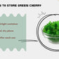 ways how you should store Farmonics best quality green cherry 