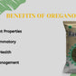 Benefits of oregano