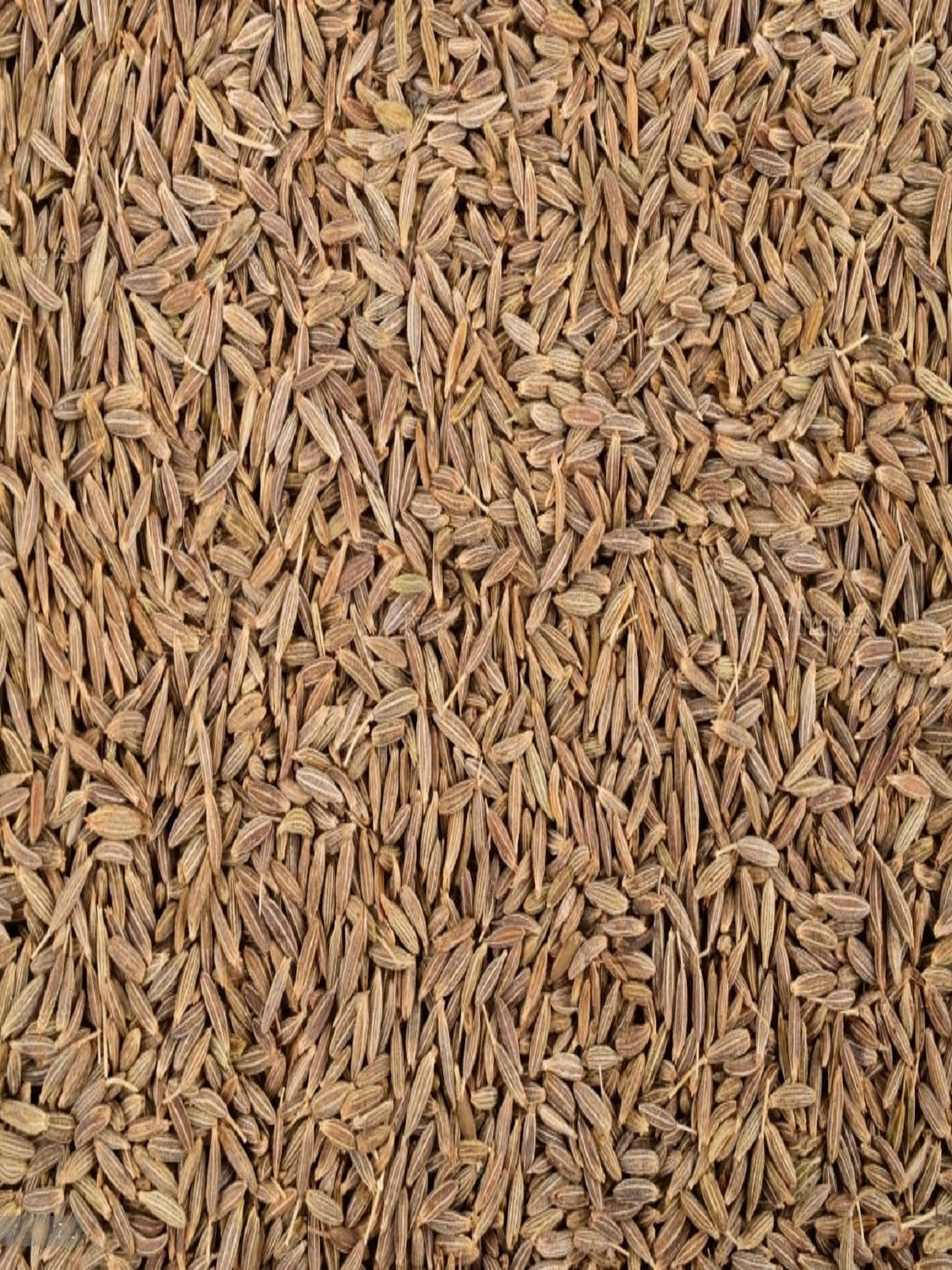 Cumin seeds- farmonics