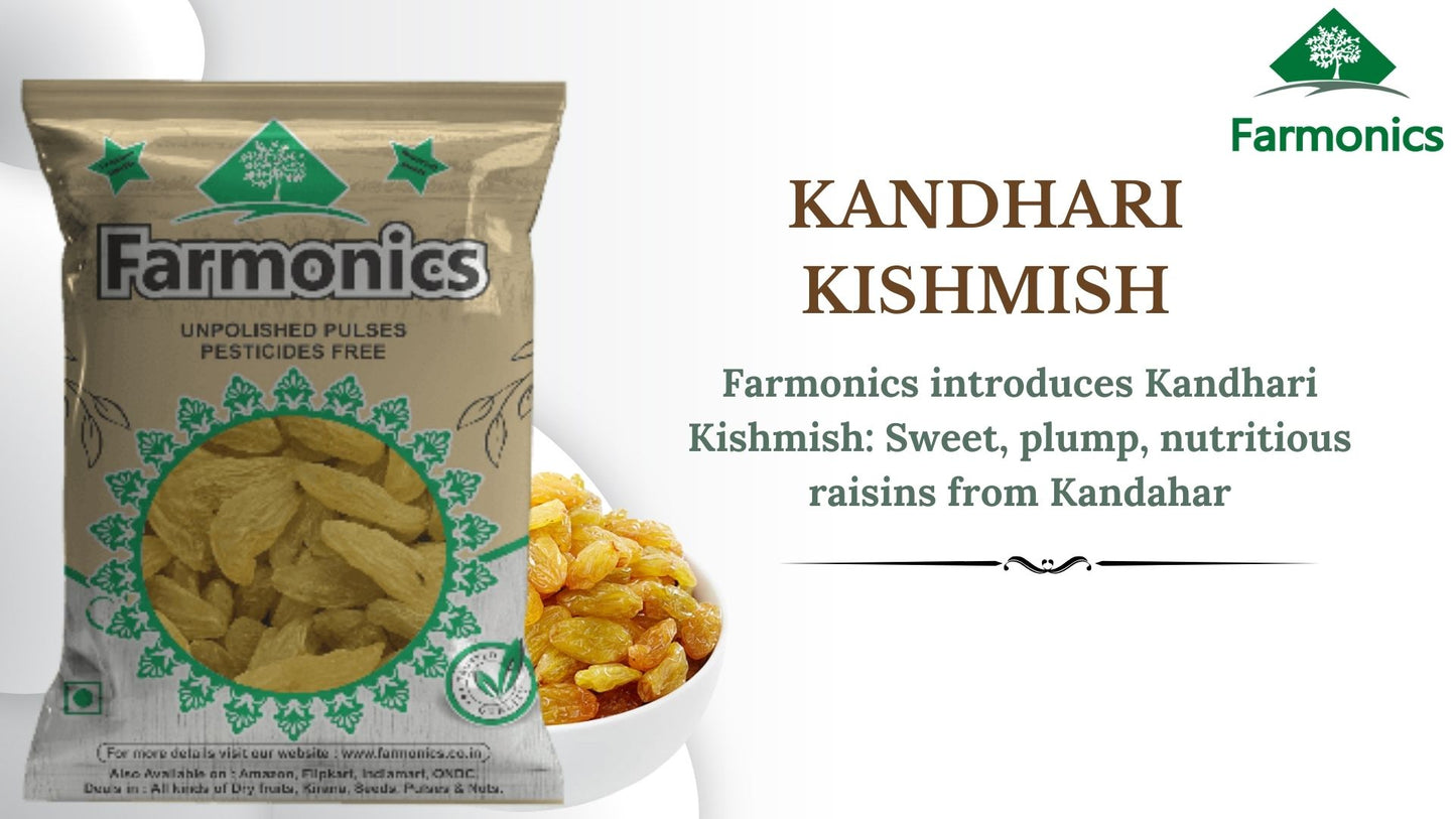  Kandhari Raisins