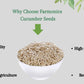 best quality cucumber seeds