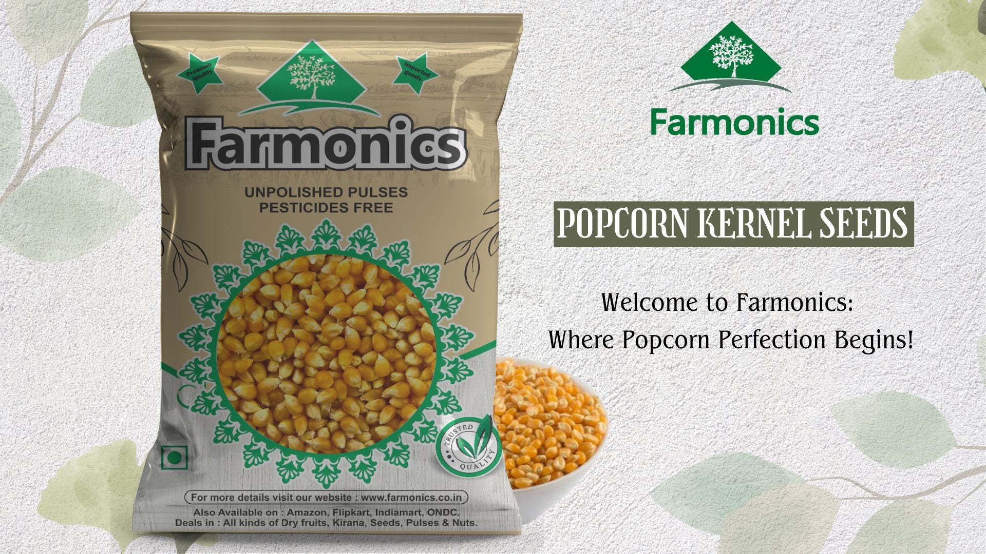 best quality popcorn/ makka dana 
