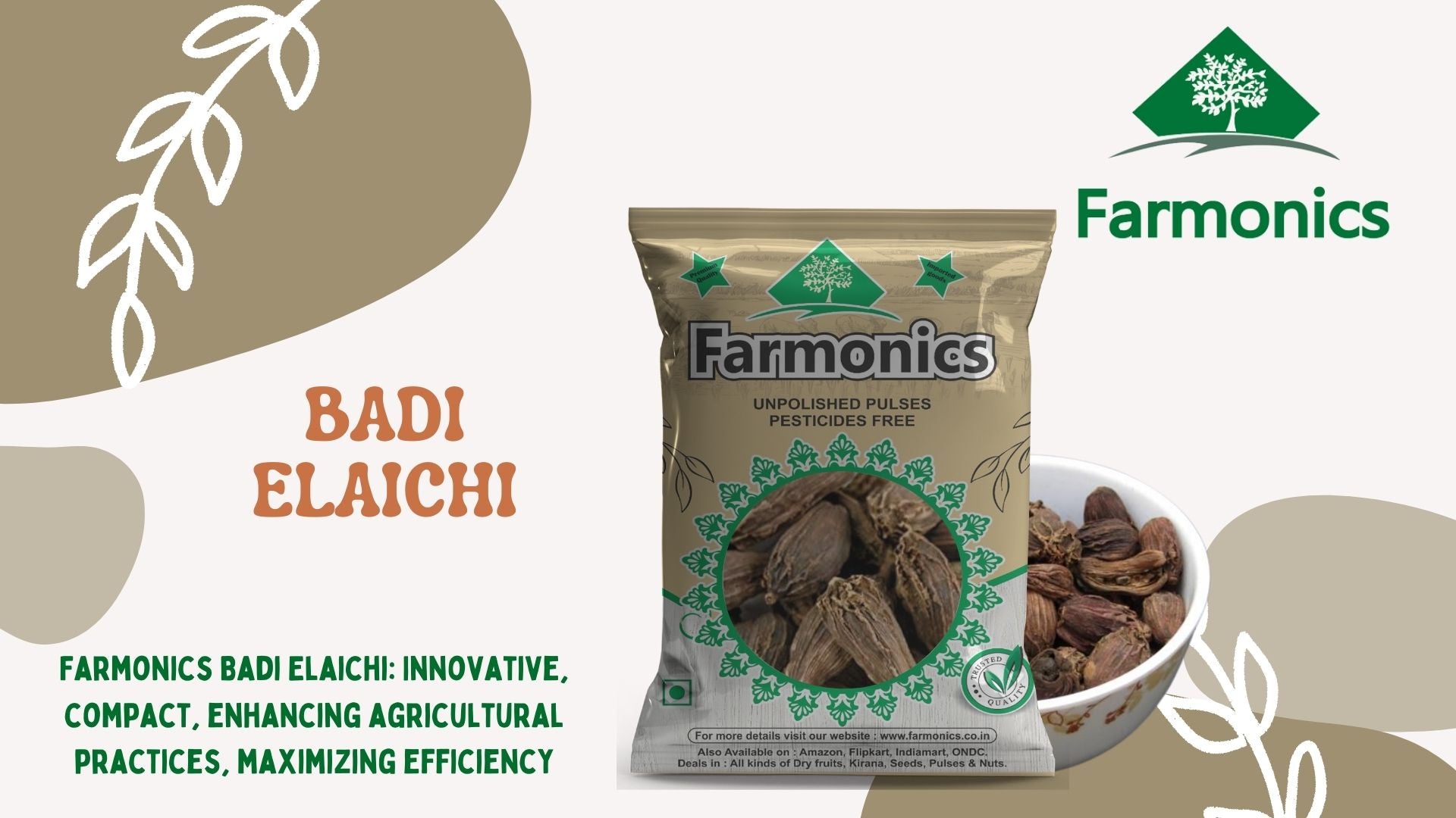 best quality Badi elaichi