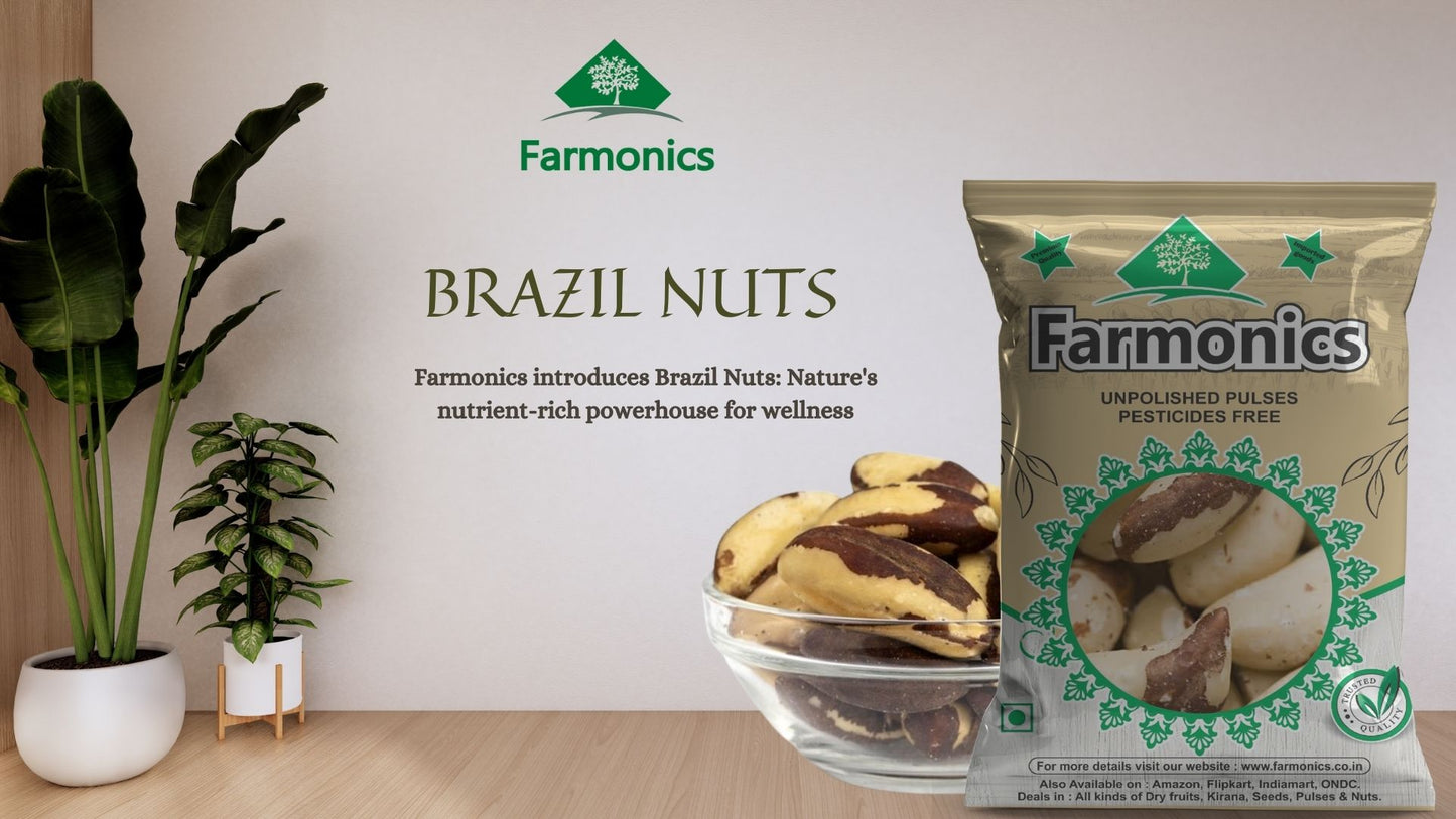 best quality brazil nuts 