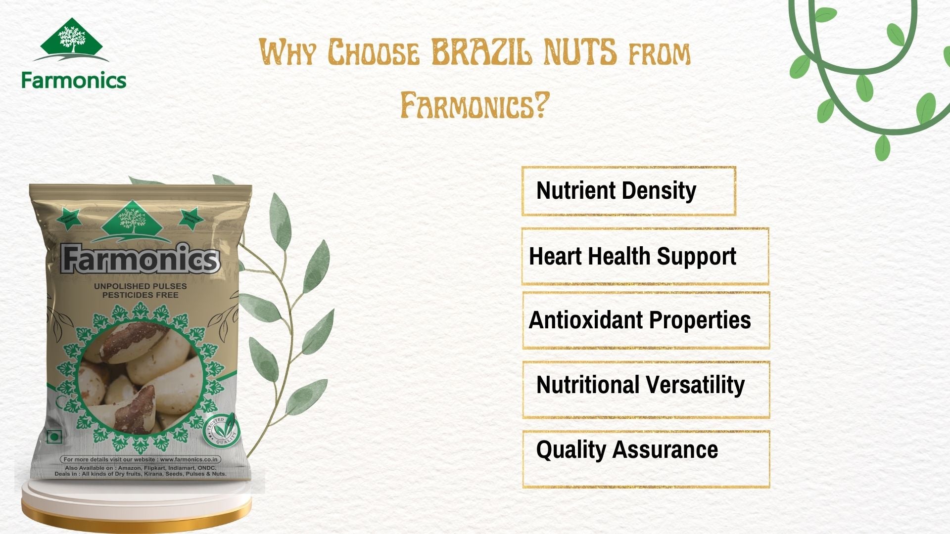 premium quality brazil nuts 