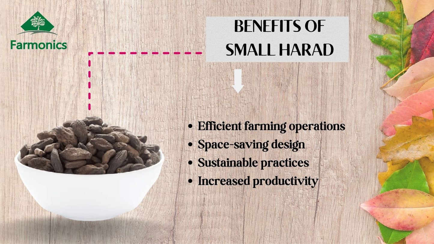 buy best quality Harad small for health benefits