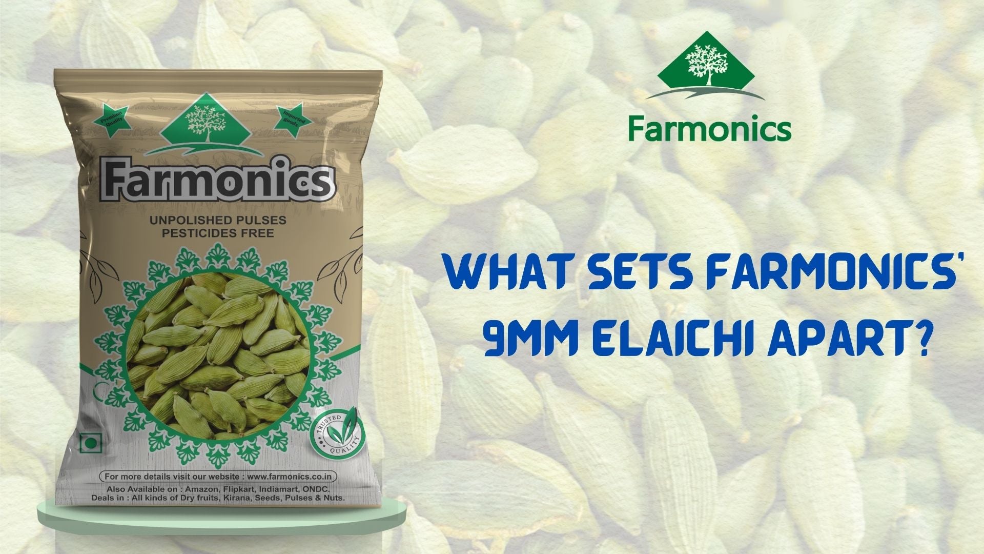 premium quality elaichi