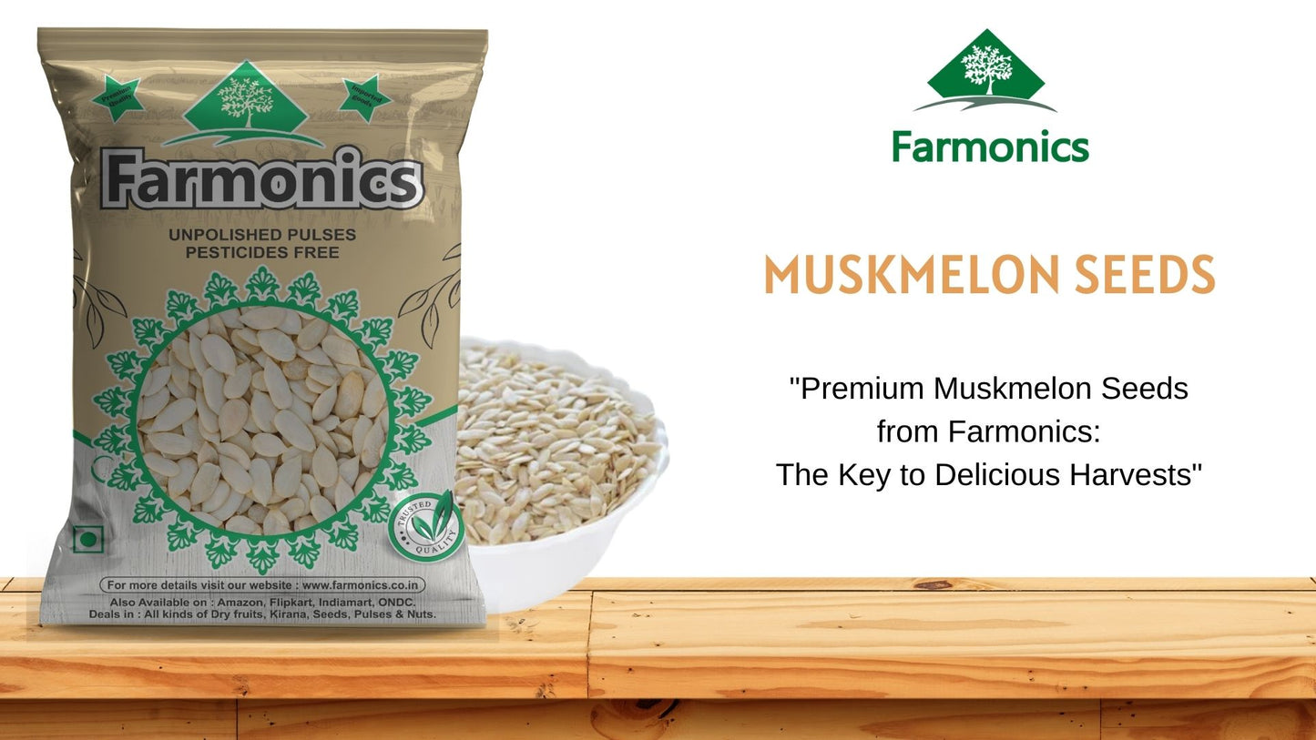 premium quality muskelon seeds 