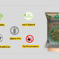 premium quality pumpkin seeds 